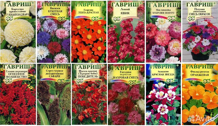 Каталог садовых цветов с и цены Каталог садовых цветов с и цены