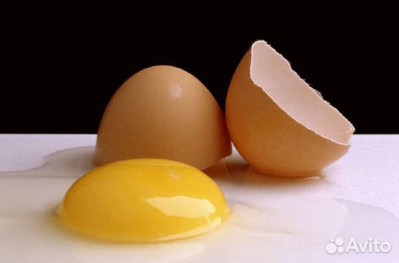 Яйцо домашнее купить на Зозу.ру - фотография № 4