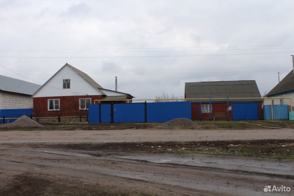 Погода в александровке донской павловского. Александровка Донская Воронежская область. Село Александровка Донская. Александровка Донская Павловский район. Село Александровка Павловский район Воронежская область.