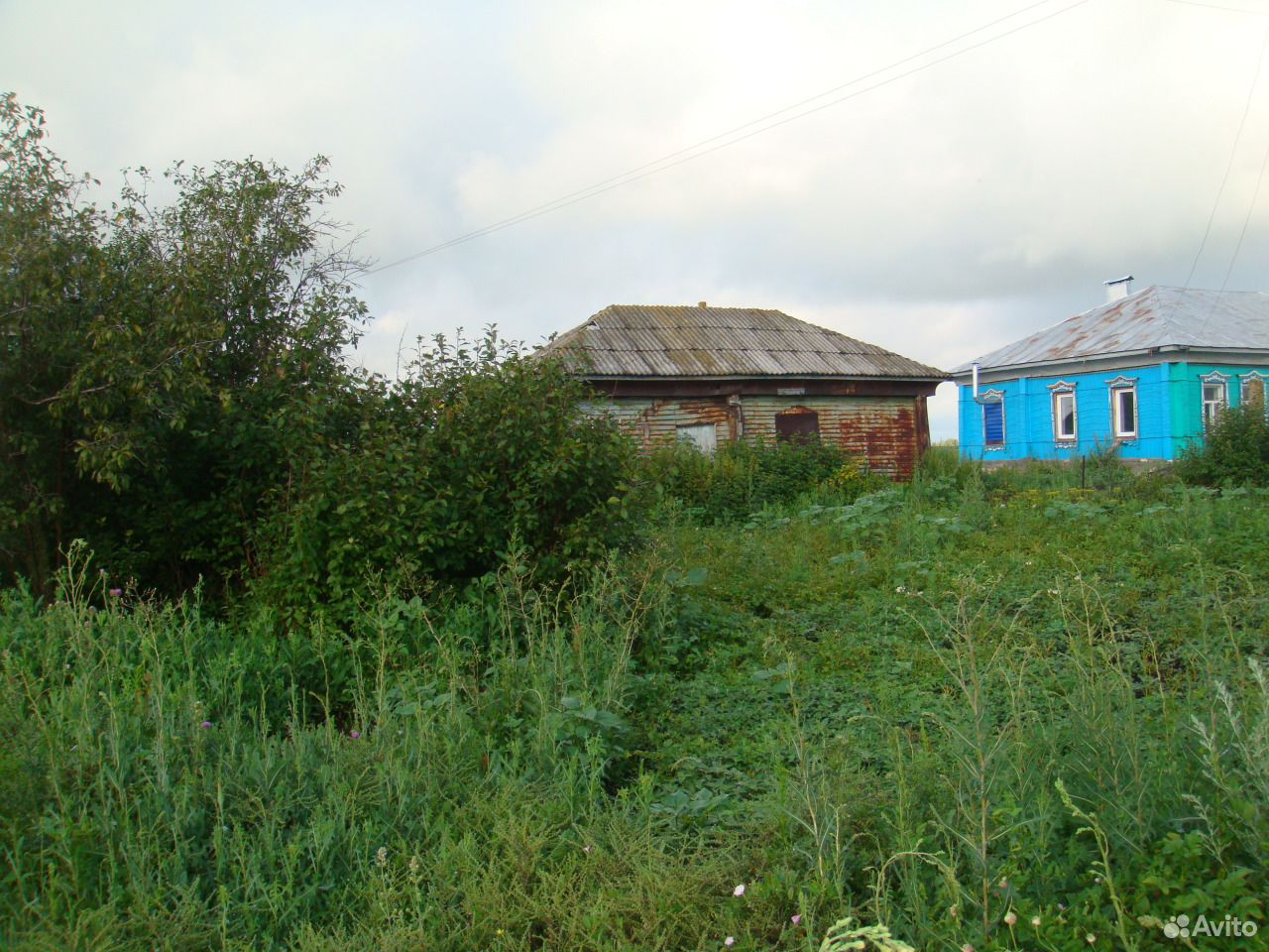 Погода в семено александровке. Село Александровка Воронежская область. Село третья Александровка Воронежская область Терновский район. Александровка Воронеж. Александровка Воронежская область фотт.