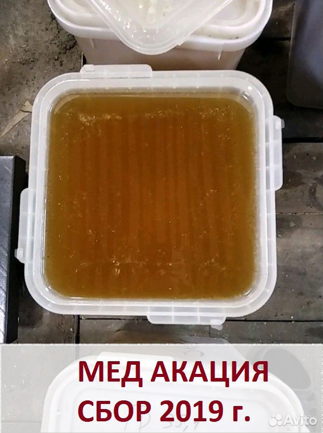 Продам настоящий вкусный мед в Тосно купить на Зозу.ру - фотография № 1