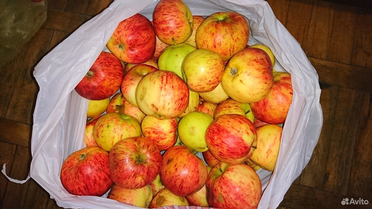 Сушеные яблочки купить на Зозу.ру - фотография № 4