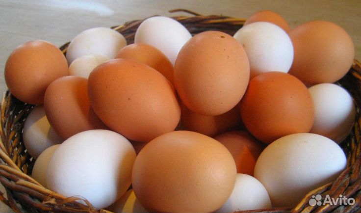 Яйца домашние куриные купить на Зозу.ру - фотография № 1