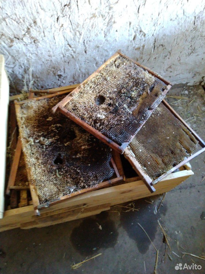 Улей для пчел купить на Зозу.ру - фотография № 4