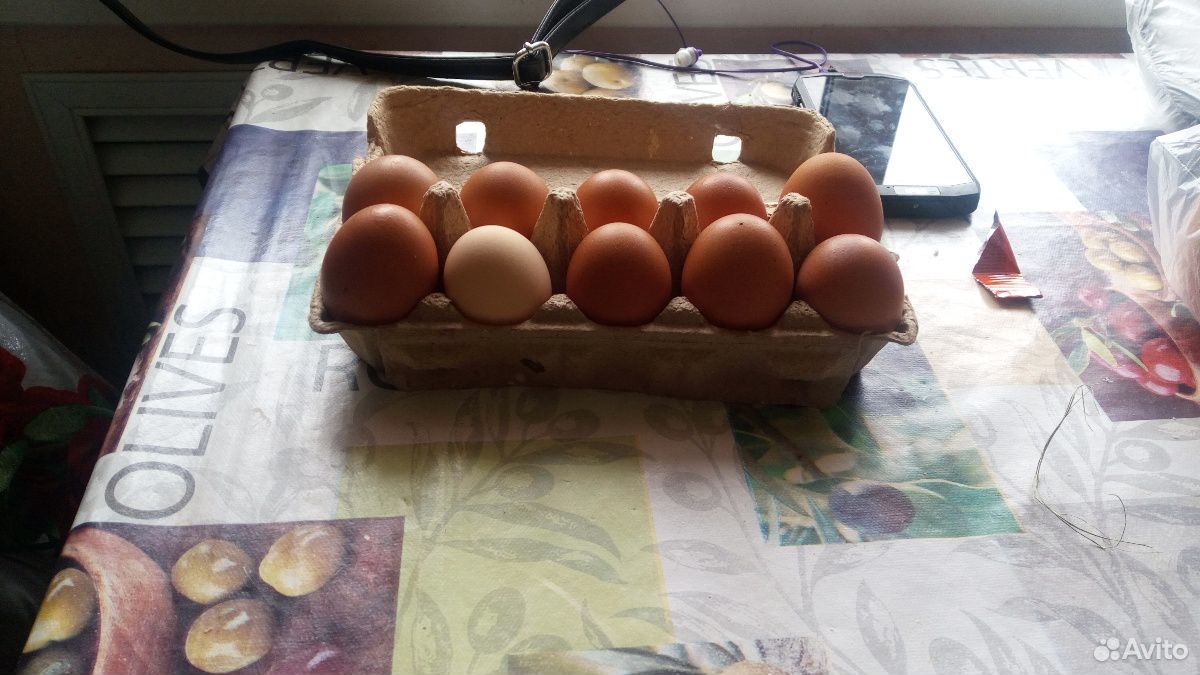 Деревенские яйца купить на Зозу.ру - фотография № 2