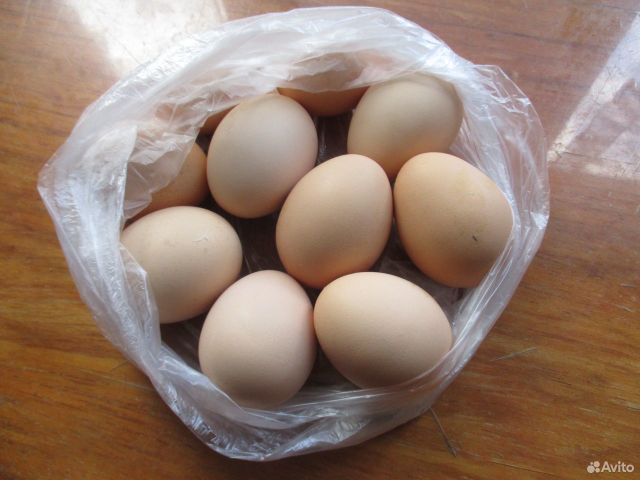 Домашние куриные яйца купить на Зозу.ру - фотография № 1