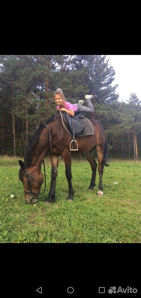 Лошадь, мерен с амуницией купить на Зозу.ру - фотография № 1