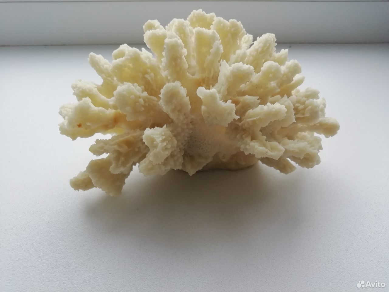 Искусственный коралл купить на Зозу.ру - фотография № 2