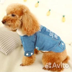 Куртка для собаки купить на Зозу.ру - фотография № 4