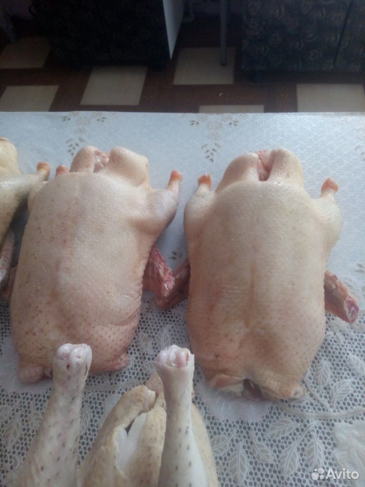 Мясо птицы утки курочки купить на Зозу.ру - фотография № 2