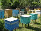 Прицеп пчеловодческий объявление продам
