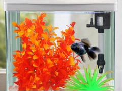 Стеклянный аквариум фирмы Sunsun на 7 литров