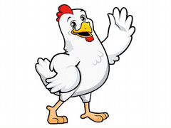 Курица бройлер индюки цыплята