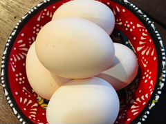 Инкубационное яйцо бресс галльских кур