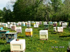 Рамки пчеловодческие, сушь
