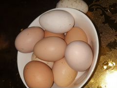 Яйца куриные для инкубатора