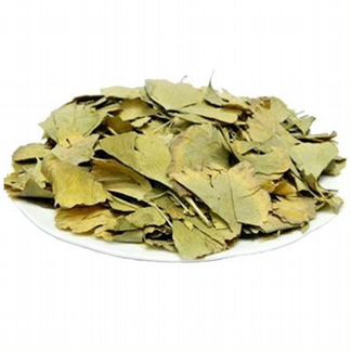 Гинкго Билоба листья, чай для здоровья мозга