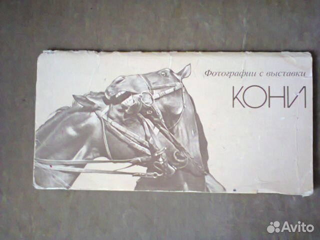 Набор фотографий