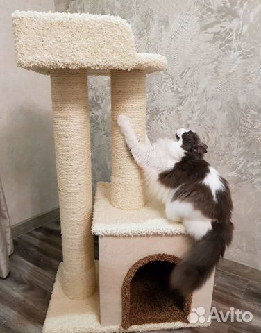 Когтеточка, домик для кошки, лежак, домик