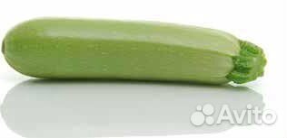 Семена Кабачка 