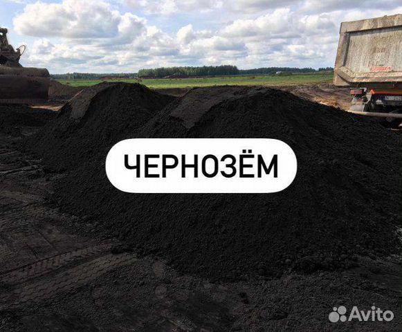 Чернозем