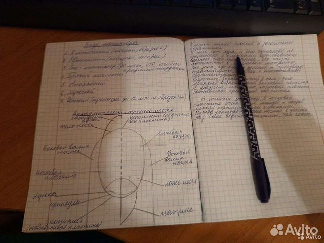 Перепишу лекции