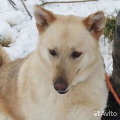 Одна жизнь за двоих