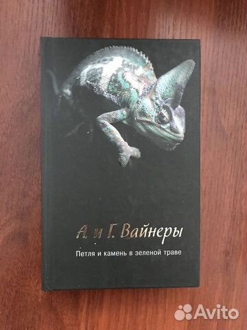 Петля и камень в зеленой траве