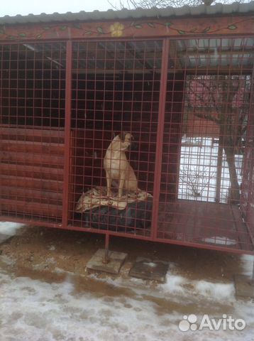 Вольеры для собак купить на Зозу.ру - фотография № 3