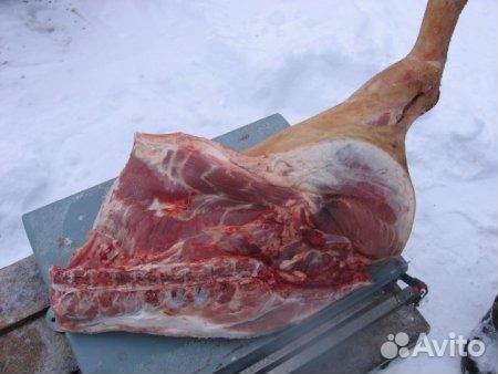 Гуси домашние. Мясо свинок. Говядина Гуси домашние. Мясо свинок. Говядина