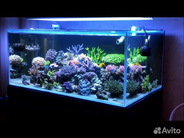 Морской аквариум 1600 литров