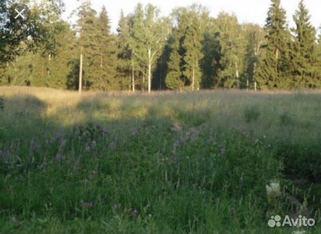 Участок 15 сот. (ИЖС) Участок 15 сот. (ИЖС)