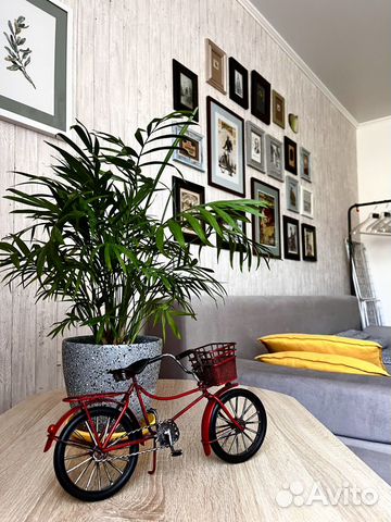 

2-к. квартира, 47 м², 2 кровати