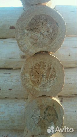 Срубы бань Срубы бань