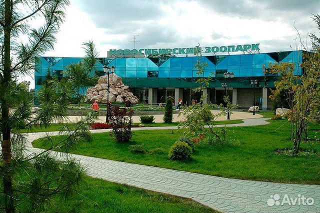 

2-к. квартира, 46,3 м², 2 кровати