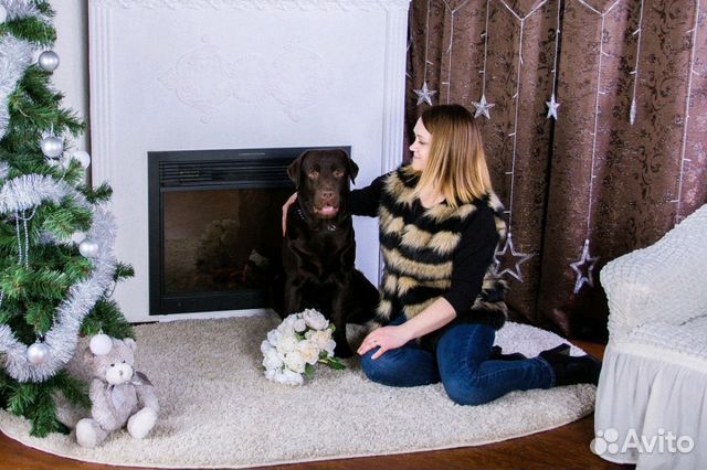 Кобель для вязки