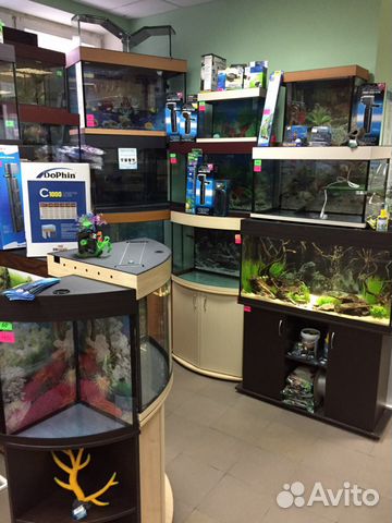 Аквариум Аквариум