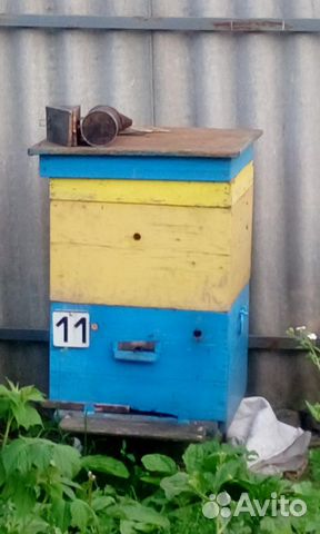 Пчелосемьи из Льгова купить на Зозу.ру - фотография № 1