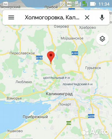 недвижимость Калининград Холмогоровка Зеленоградский