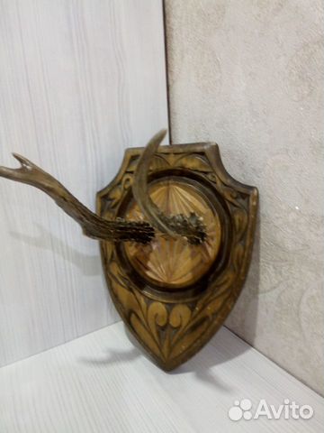 Рога Косули