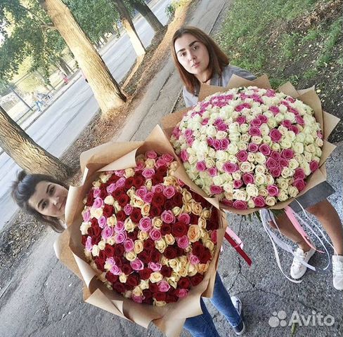301 Роза 301 Роза