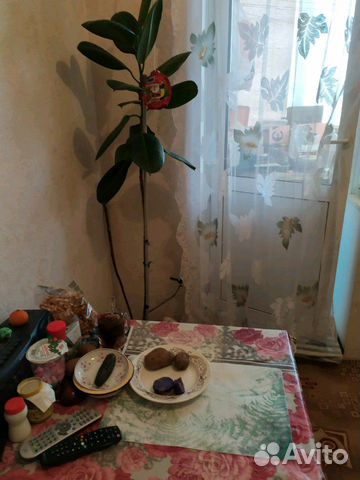 1-к квартира, 42 м², 15/22 эт. 1-к квартира, 42 м², 15/22 эт.