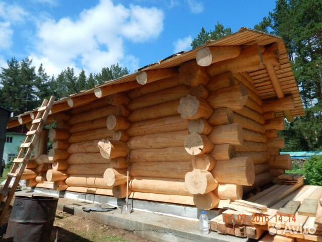 Сруб бани в диком стиле. Дикий сруб. Сборка