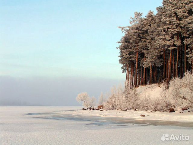 Участок 50 сот. (ИЖС)