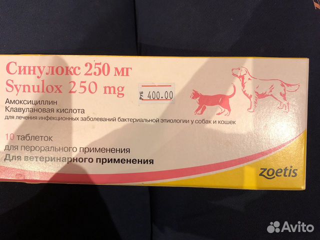 Купить синулокс 250 мг для собак. Синулокс 500. Синулокс 250. Синулокс 50. Синулокс 50 мг.