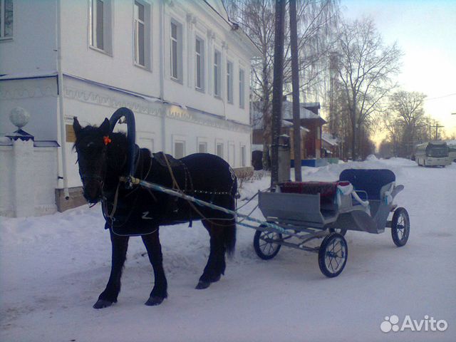Экипаж для лошади купить на Зозу.ру - фотография № 1