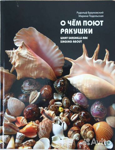 О чём поют ракушки