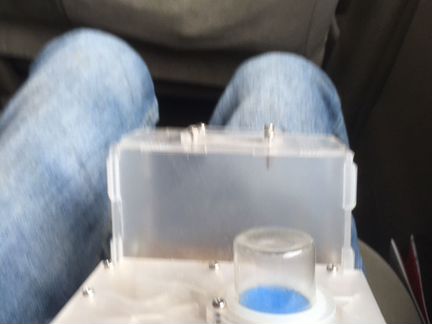 Муравьиная ферма