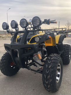 Yamaha Raptor 250 cc снегоход