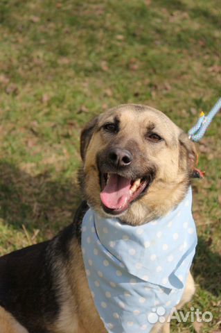 Добрая Октавия вечно мерзнет в приютеспасите